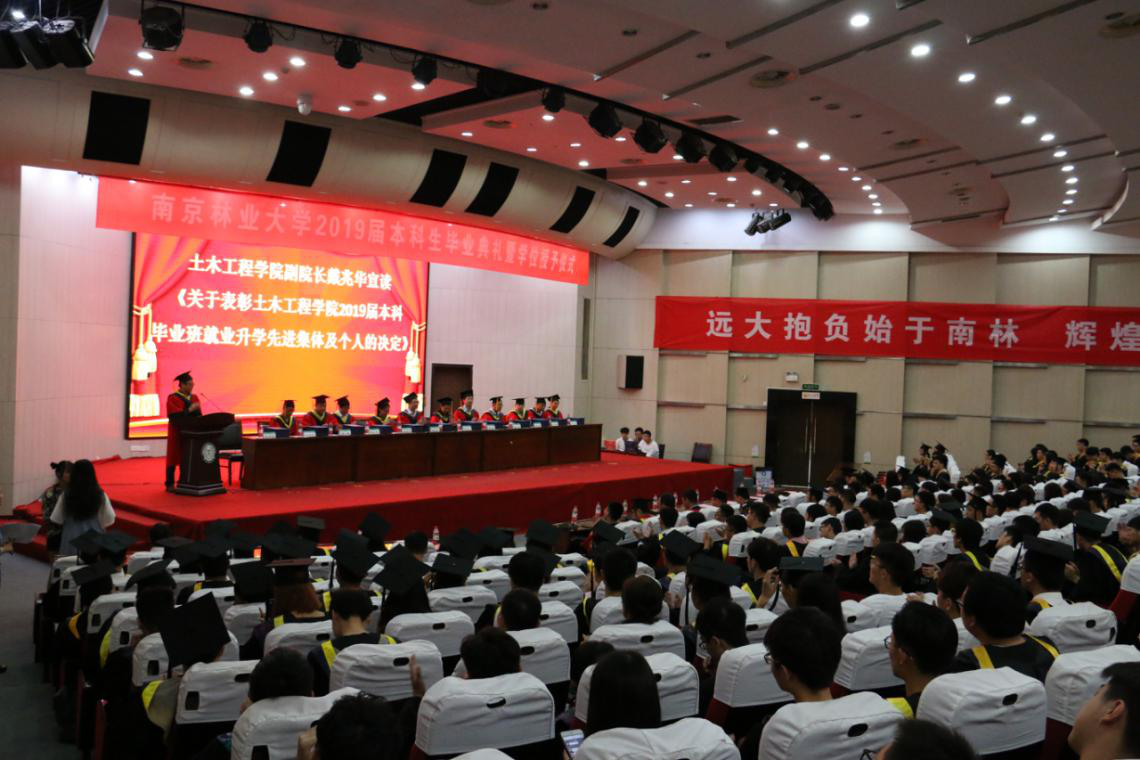 图片2(11)